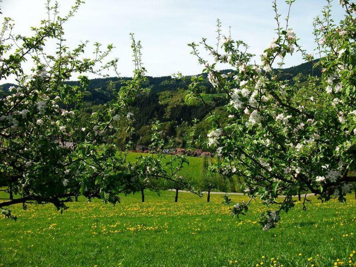 Pension Waldfrieden Oberharmersbach Luaran gambar