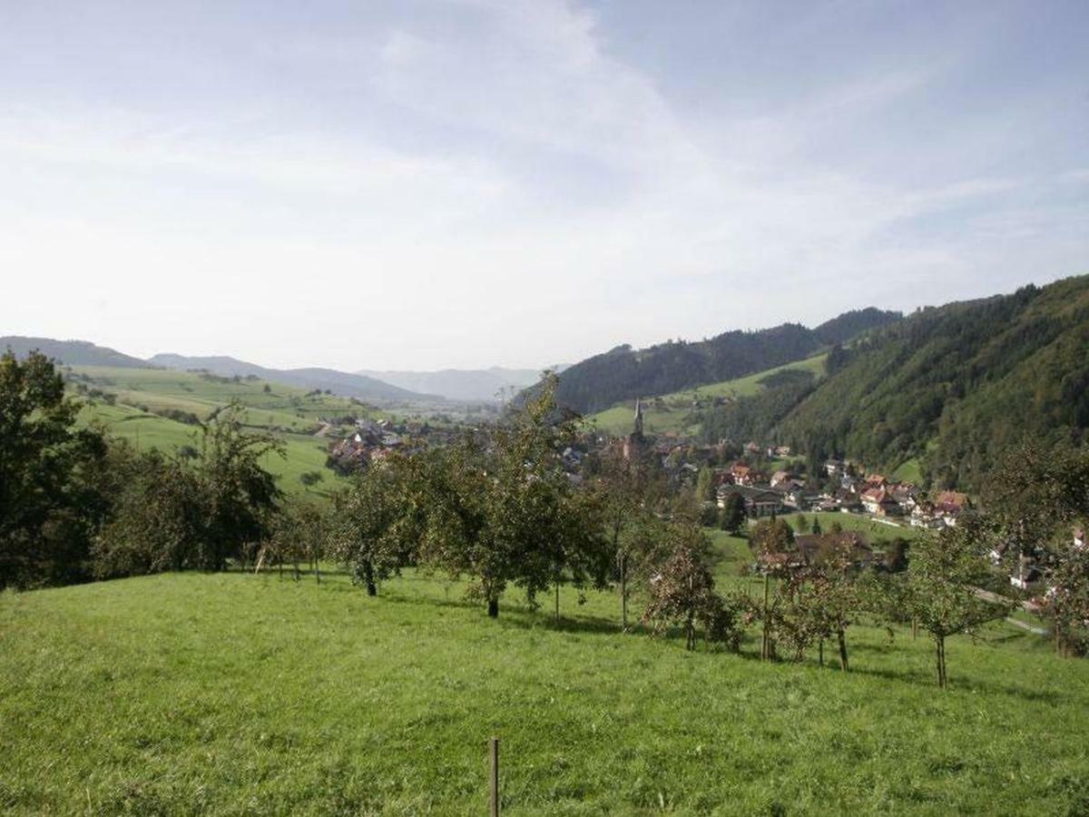 Pension Waldfrieden Oberharmersbach Luaran gambar